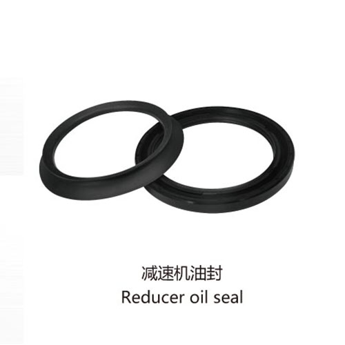 Reducer oil seal